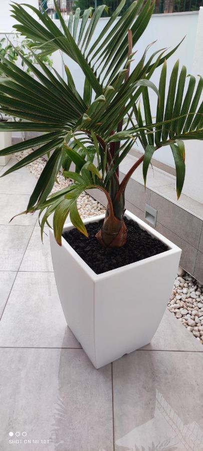 Luxury Townhouse Leilighet Costa Adeje  Eksteriør bilde